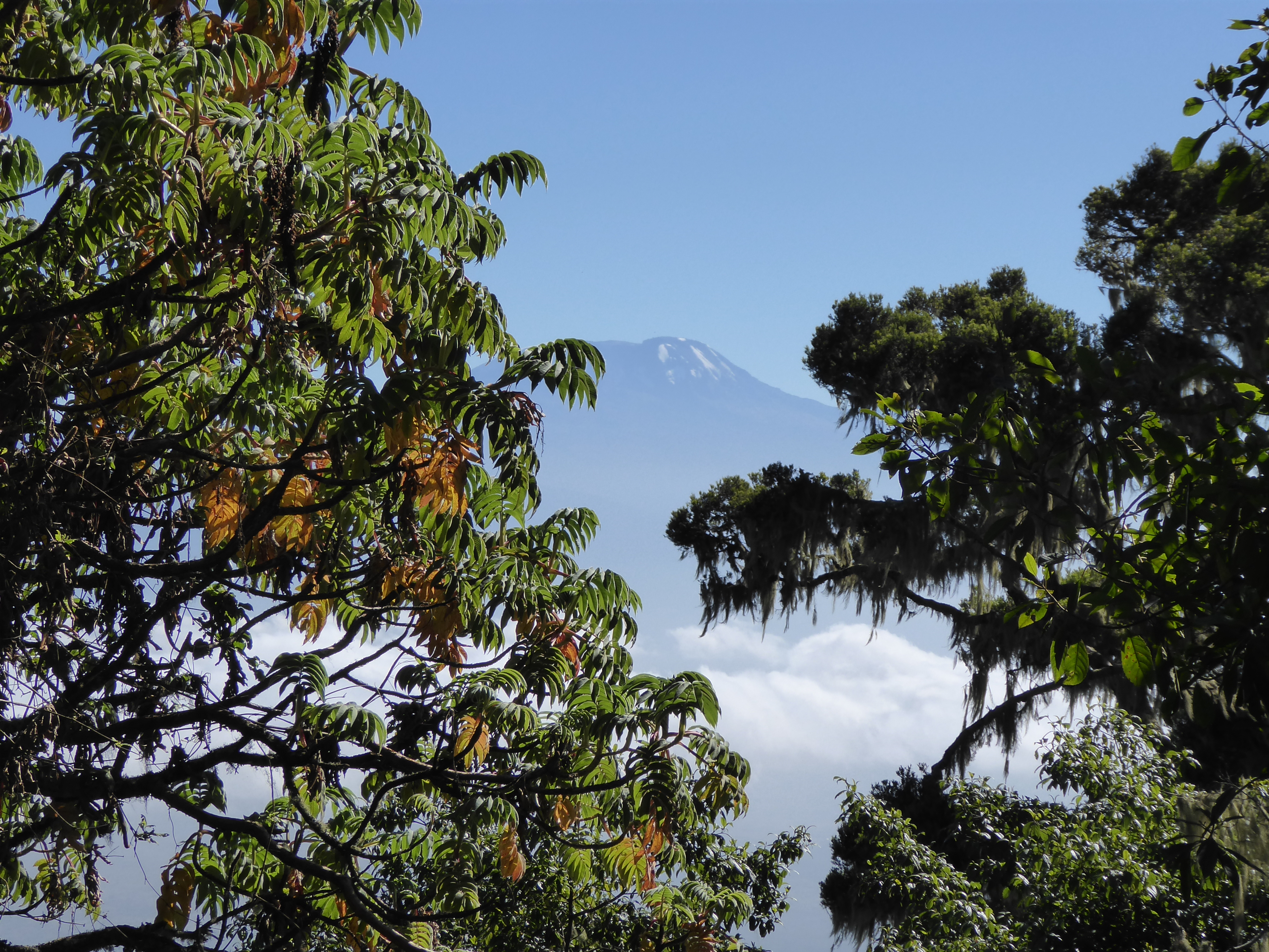 Blick vom Mount Meru auf den Kilimanjaro